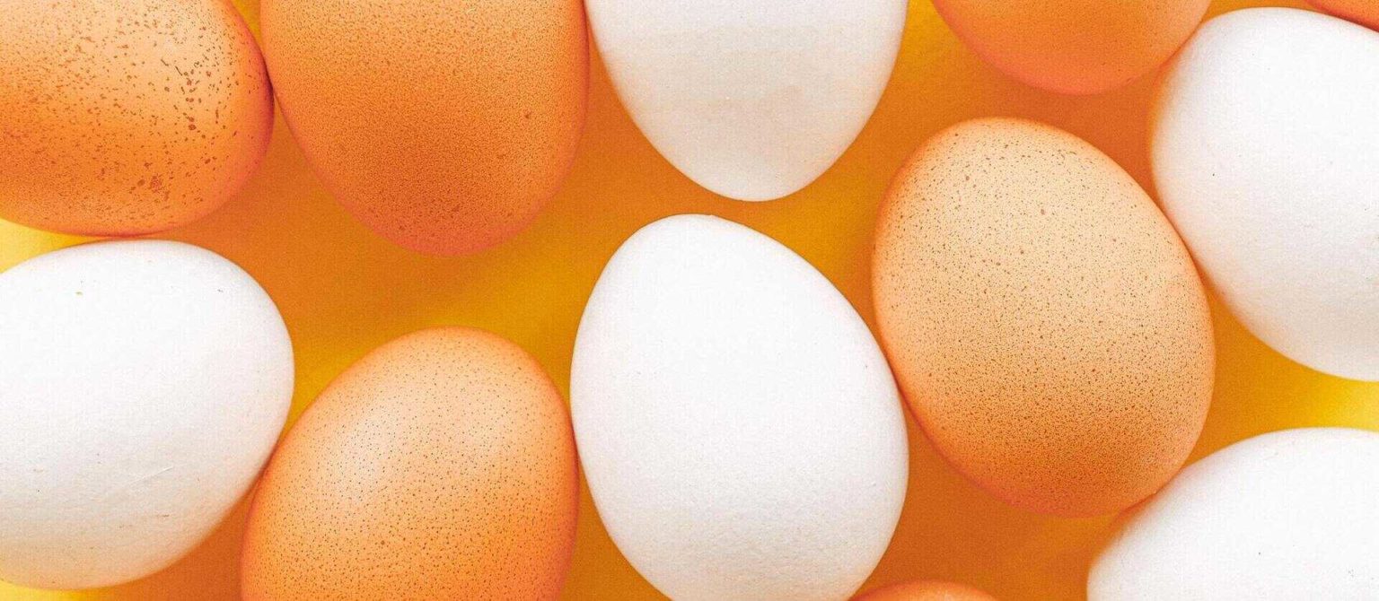 5 white eggs: image on 5 Questions for Content Marketers