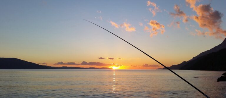 A fishing pole represents the challenge of fishing for strong headlines.