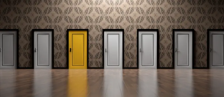 Doors represent the many options available for finding subject experts to interview.