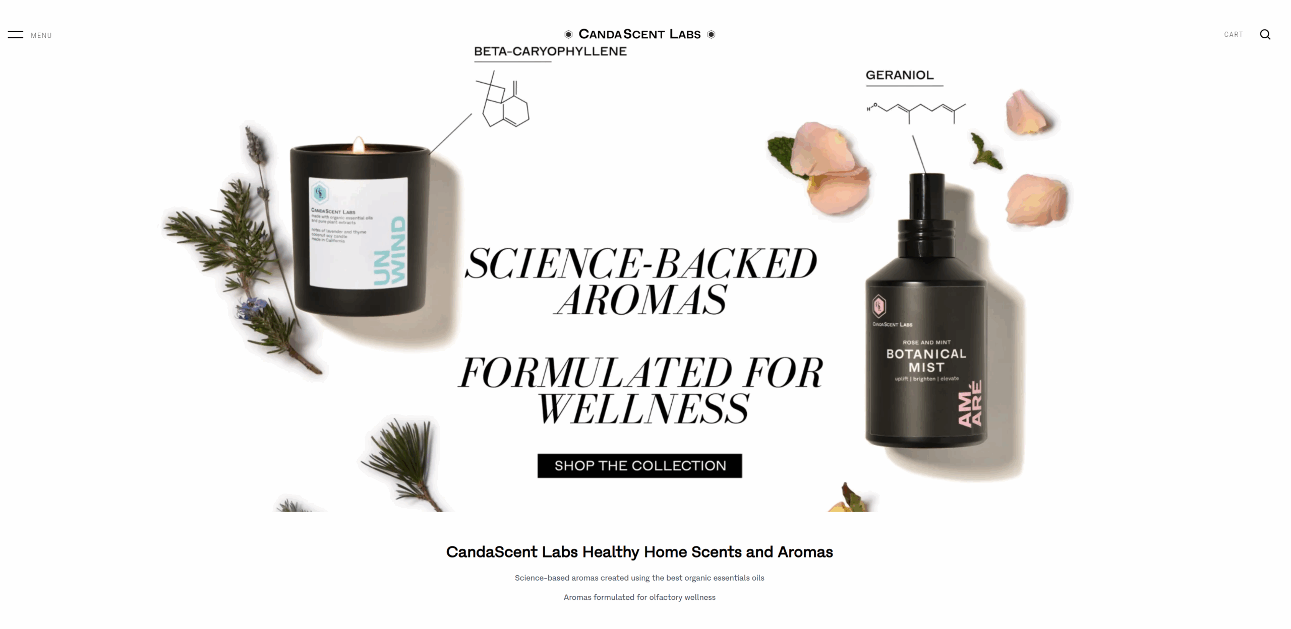 A screenshot of a candle and a scented mist from the CandaScent website underscores how the consumer brand differentiates itself in the home fragrance market.